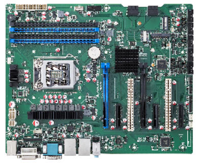 IMB-C46